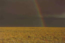 07 - Rainbow and dark skies over the pampas.